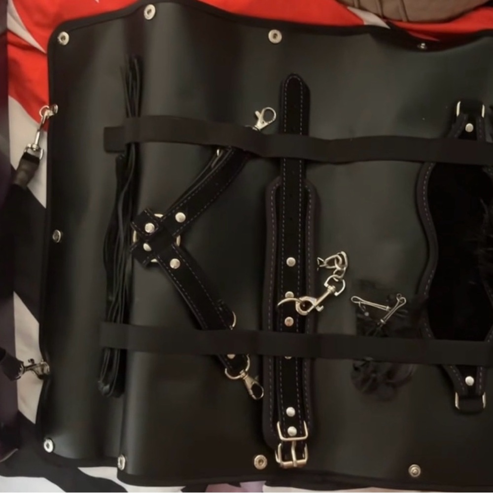 Black Leather Harness with Silver Accents